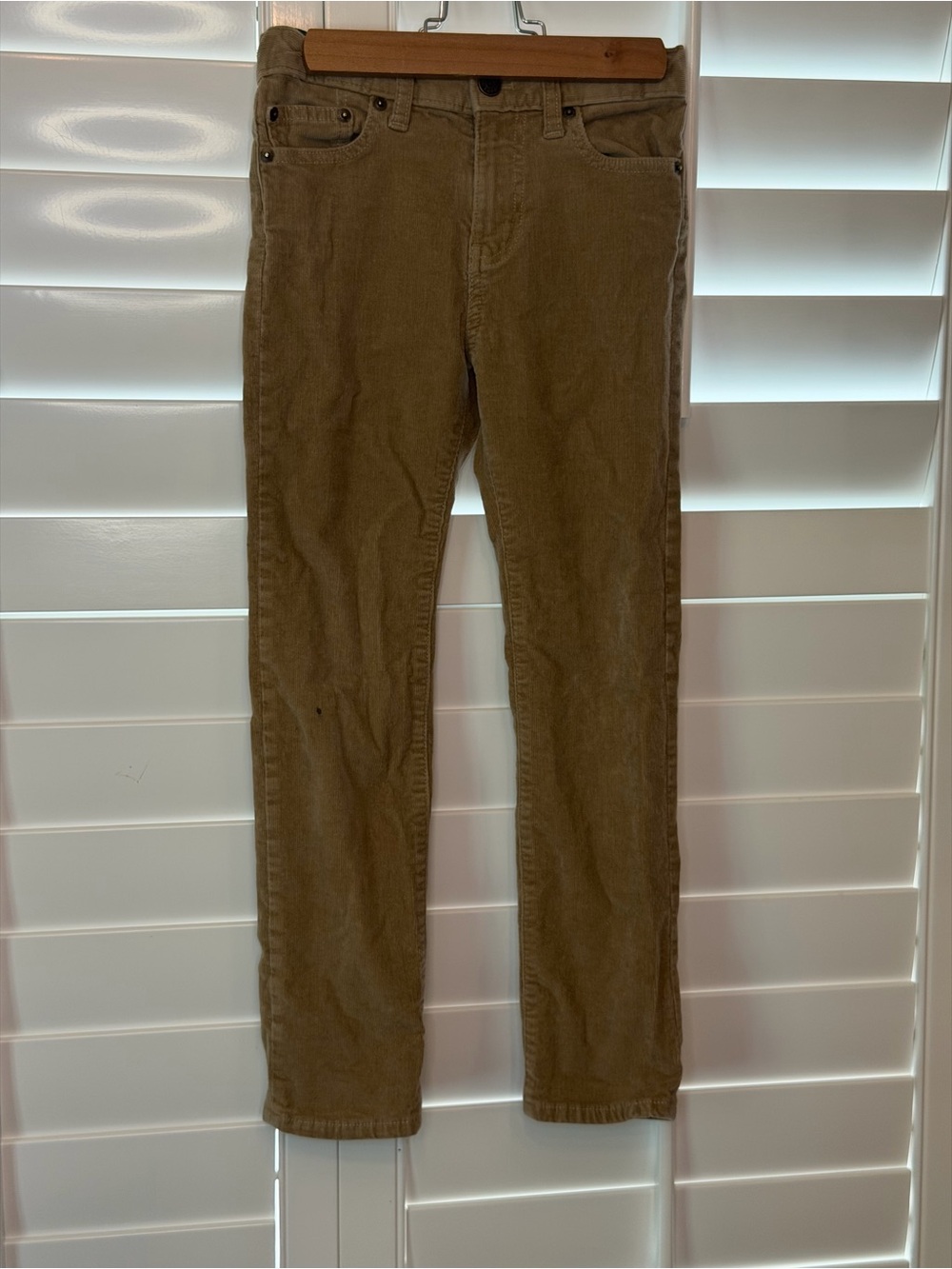 Crewcuts boy's Corduroy Pants in Olive Brown